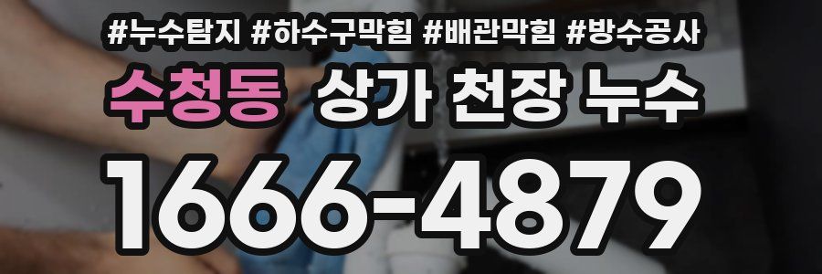 수청동 상가 천장 누수