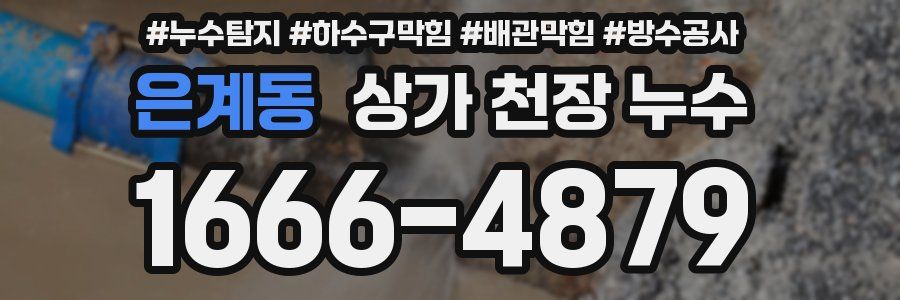 은계동 상가 천장 누수
