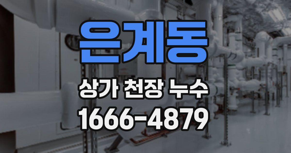 은계동 상가 천장 누수