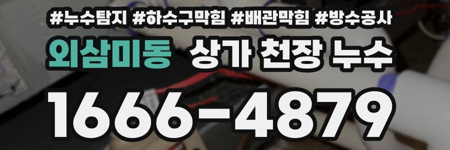외삼미동 상가 천장 누수