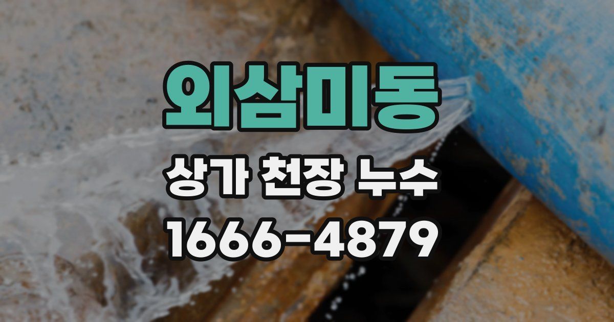 외삼미동 상가 천장 누수