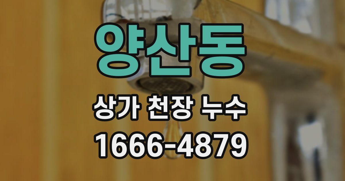 양산동 상가 천장 누수