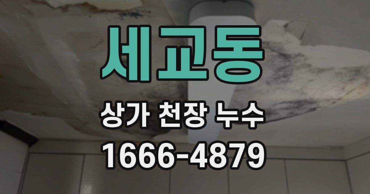 세교동 상가 천장 누수