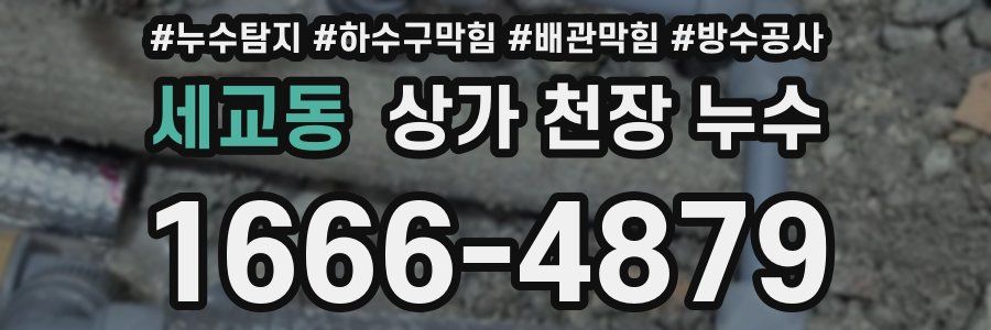 세교동 상가 천장 누수