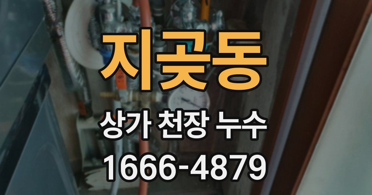 지곶동 상가 천장 누수
