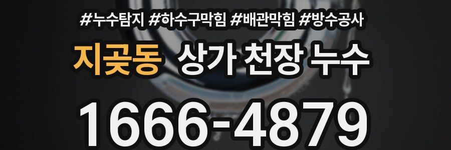 지곶동 상가 천장 누수