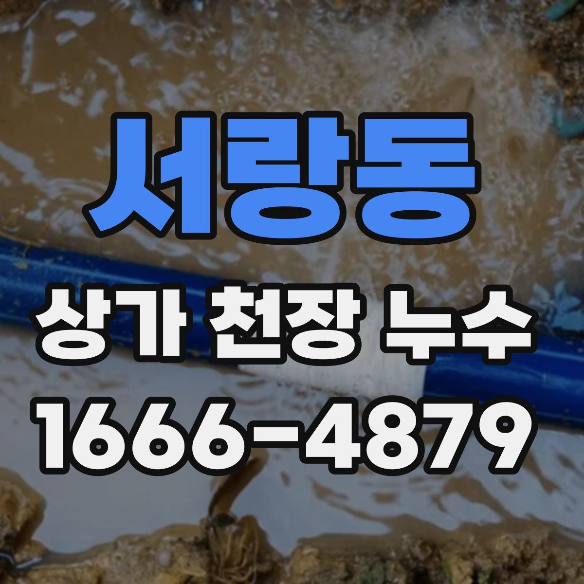 서랑동 상가 천장 누수