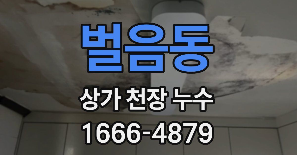 벌음동 상가 천장 누수