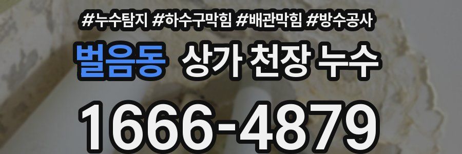 벌음동 상가 천장 누수