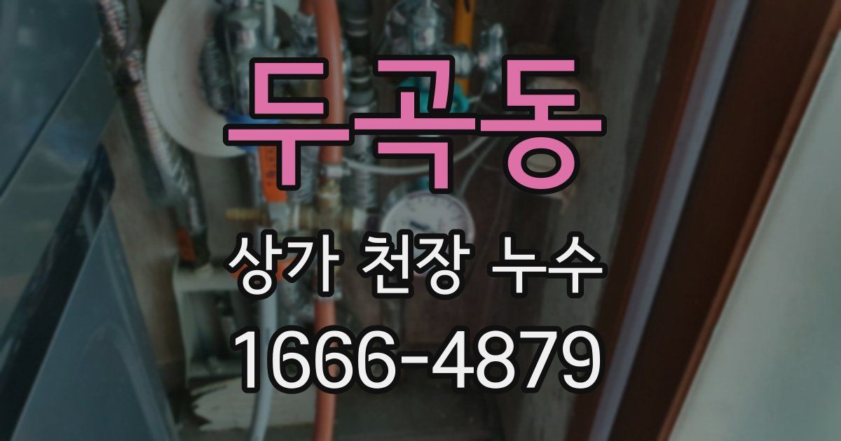 두곡동 상가 천장 누수