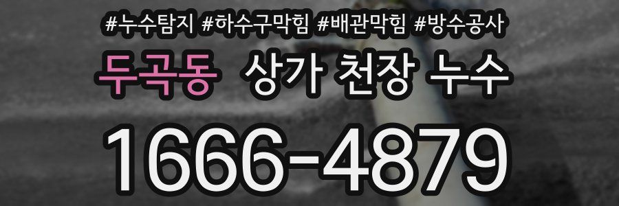두곡동 상가 천장 누수