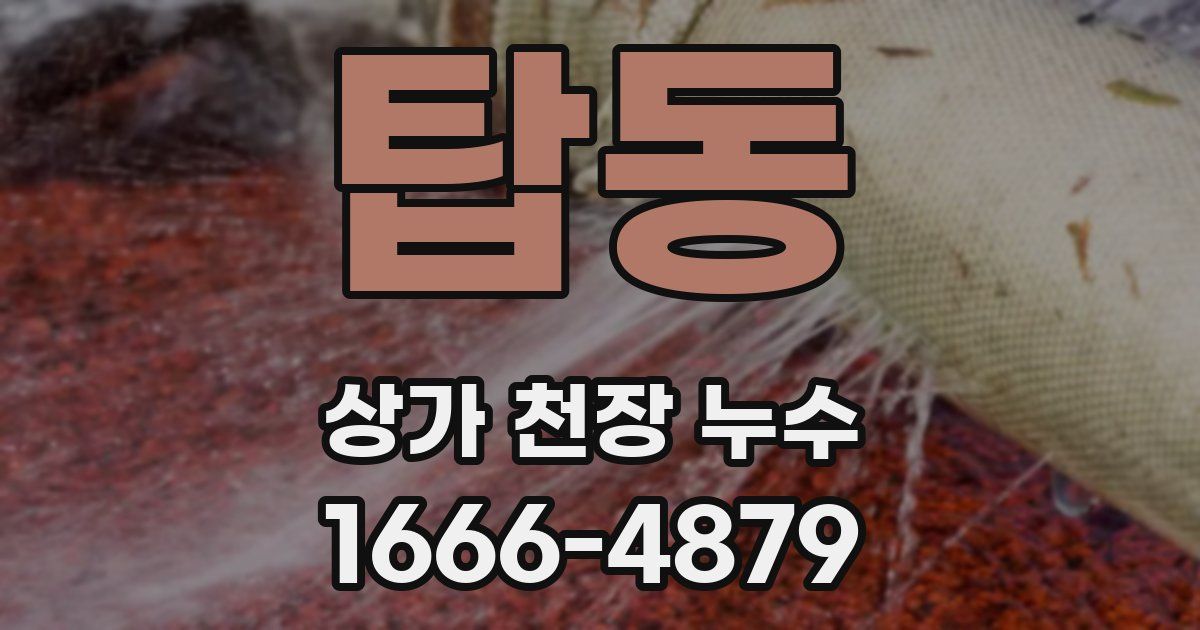 탑동 상가 천장 누수