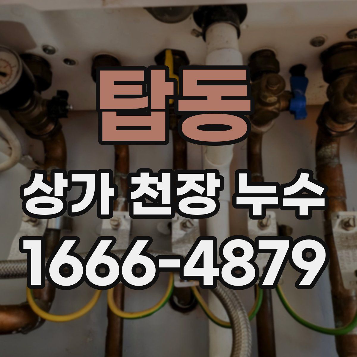 탑동 상가 천장 누수