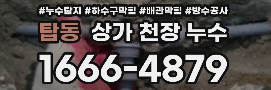 탑동 상가 천장 누수