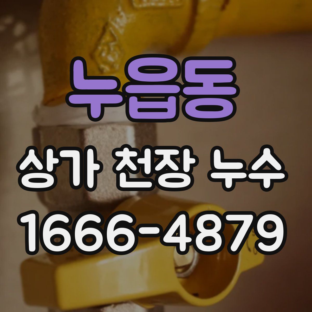 누읍동 상가 천장 누수