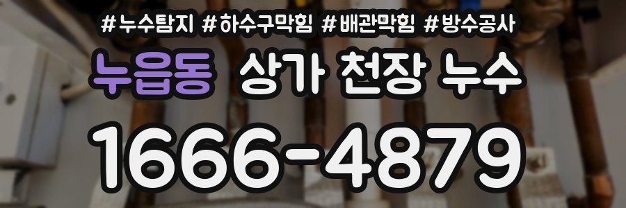 누읍동 상가 천장 누수