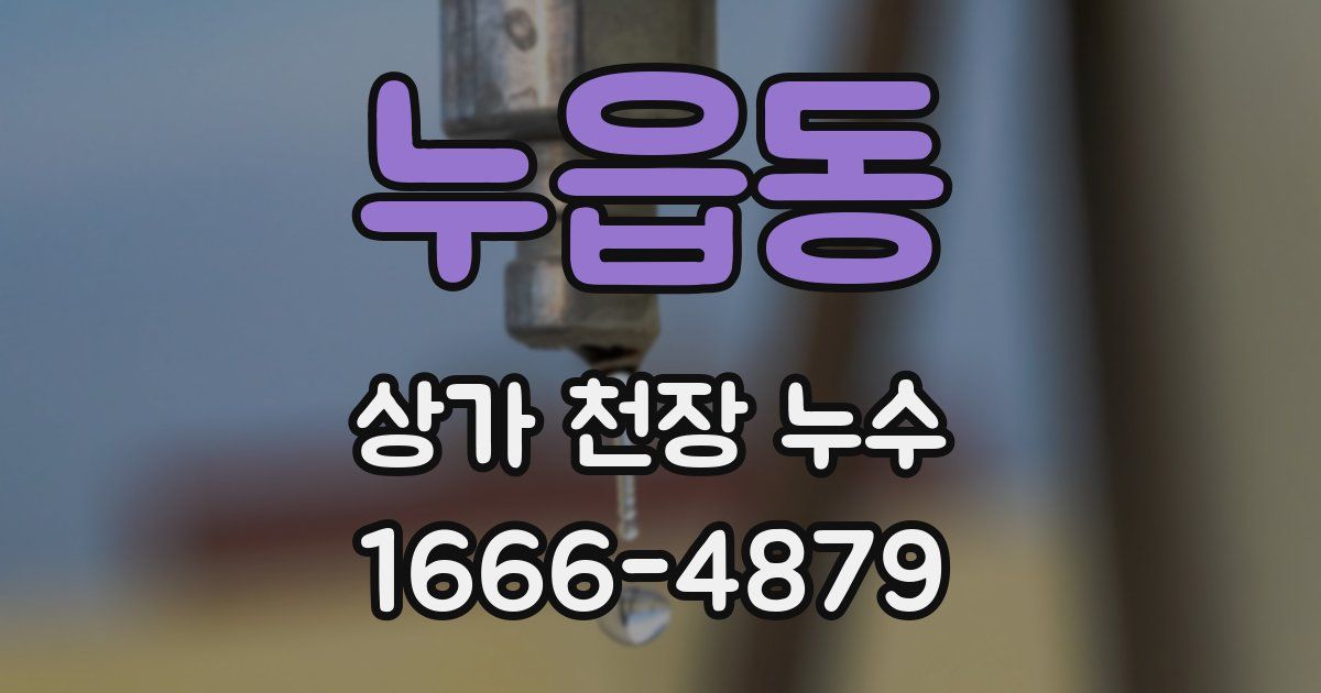누읍동 상가 천장 누수