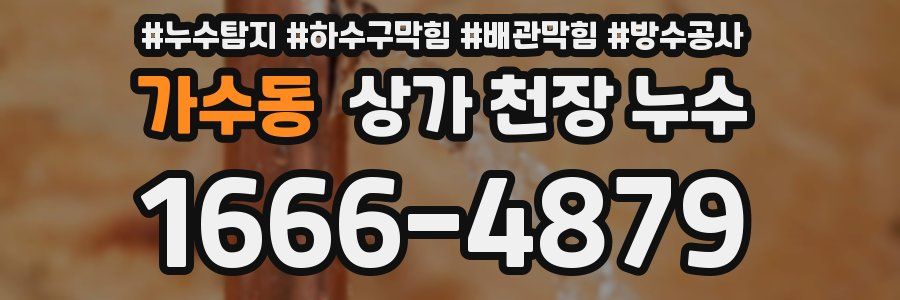 가수동 상가 천장 누수