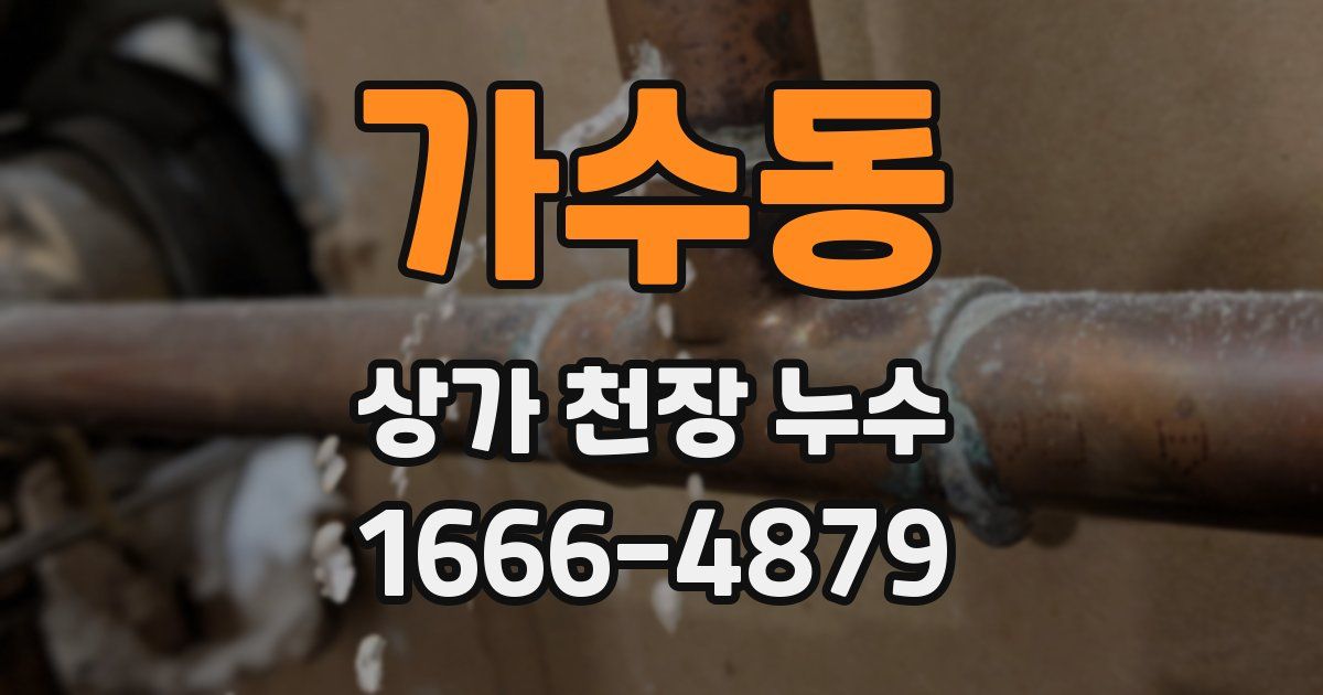 가수동 상가 천장 누수