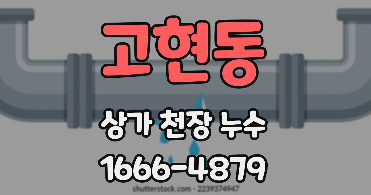 고현동 상가 천장 누수