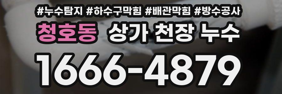 청호동 상가 천장 누수
