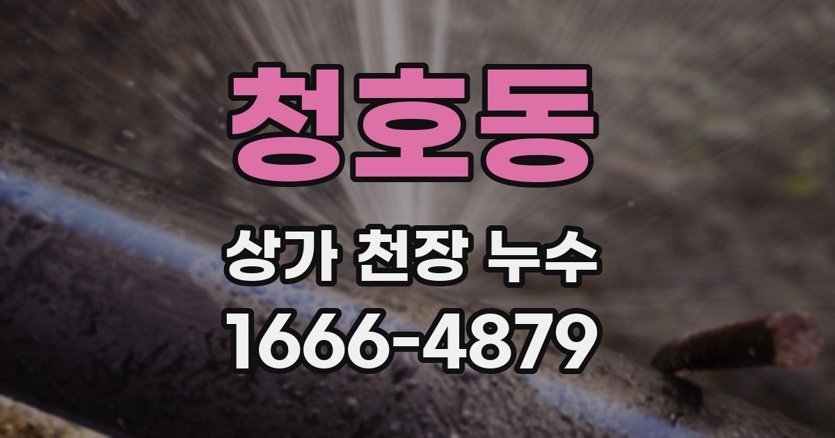 청호동 상가 천장 누수