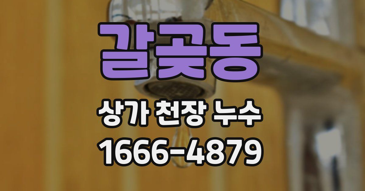 갈곶동 상가 천장 누수