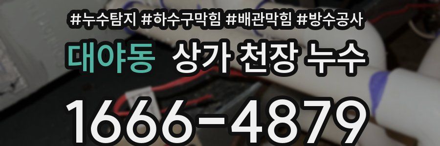 대야동 상가 천장 누수