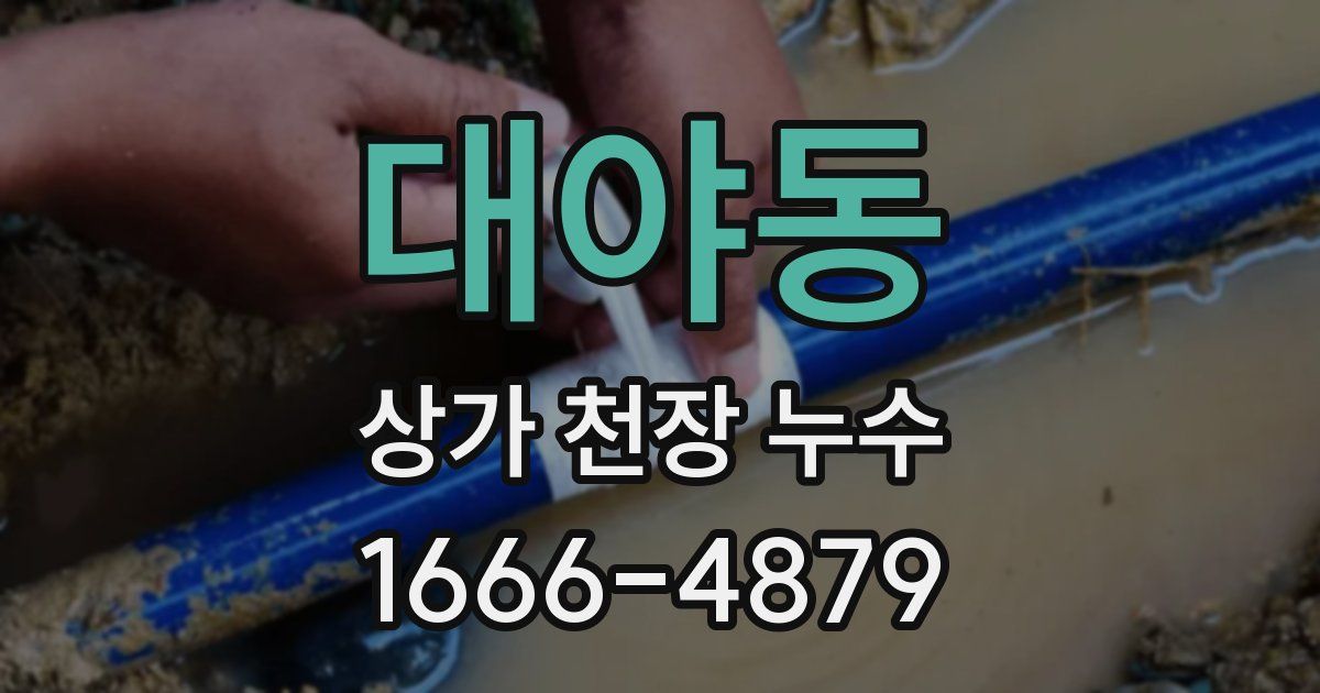 대야동 상가 천장 누수