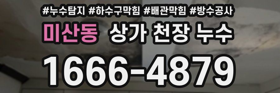 미산동 상가 천장 누수