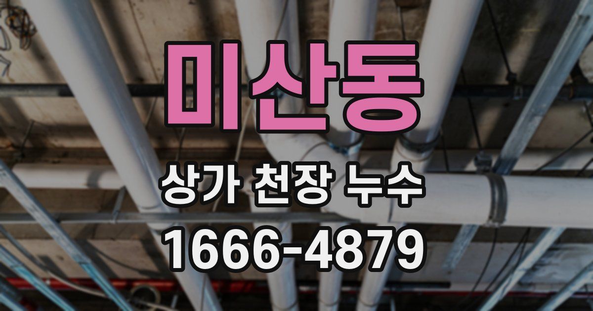미산동 상가 천장 누수