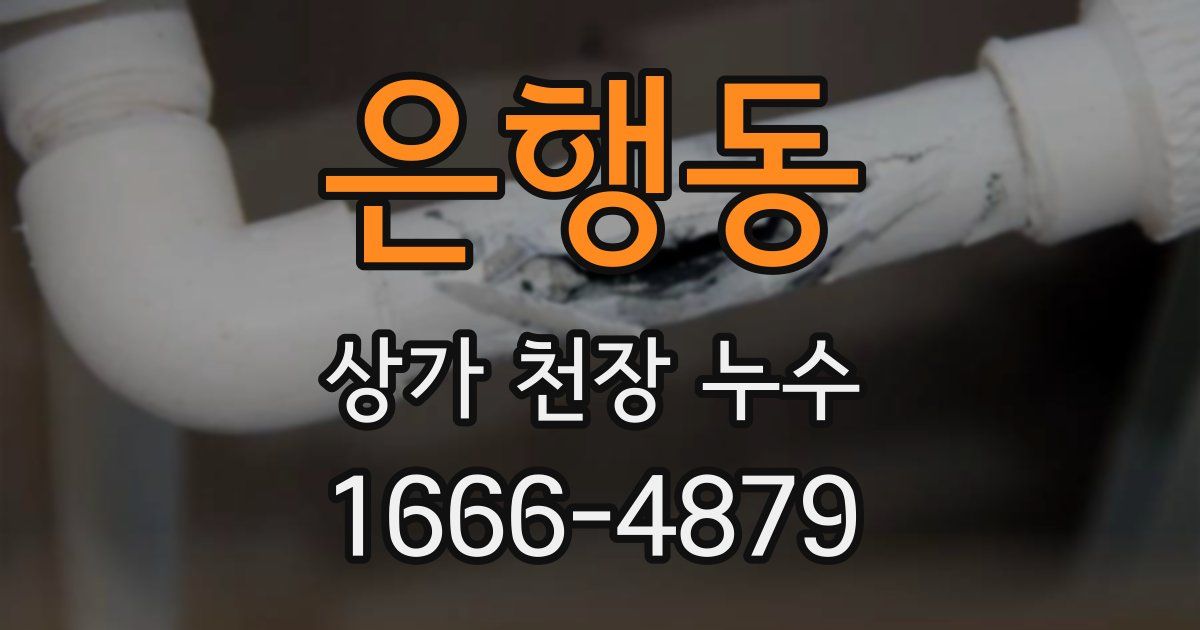 은행동 상가 천장 누수