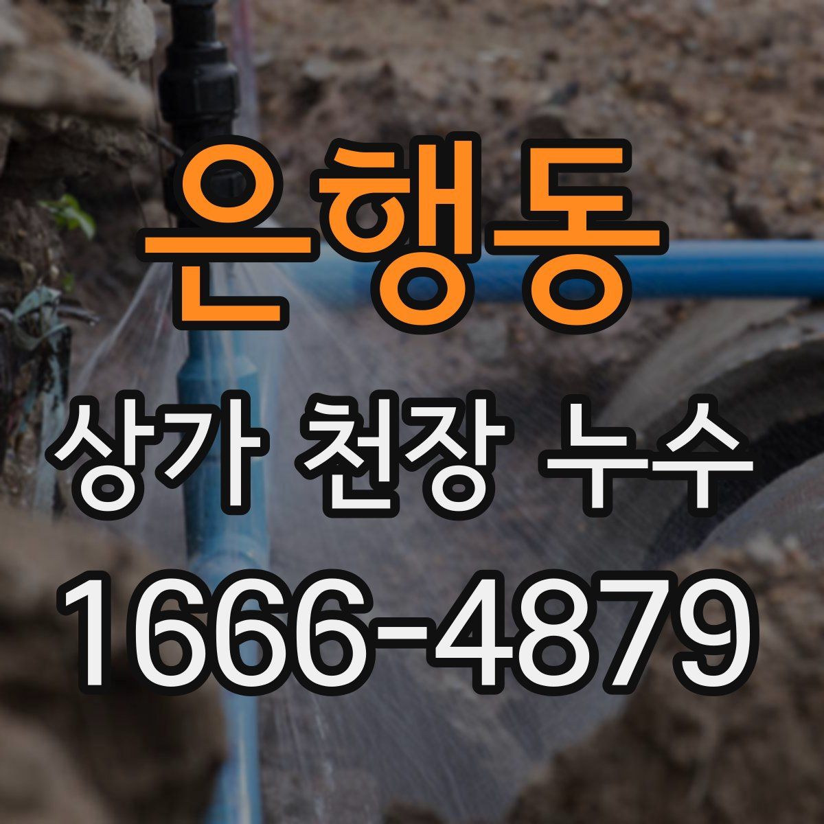 은행동 상가 천장 누수