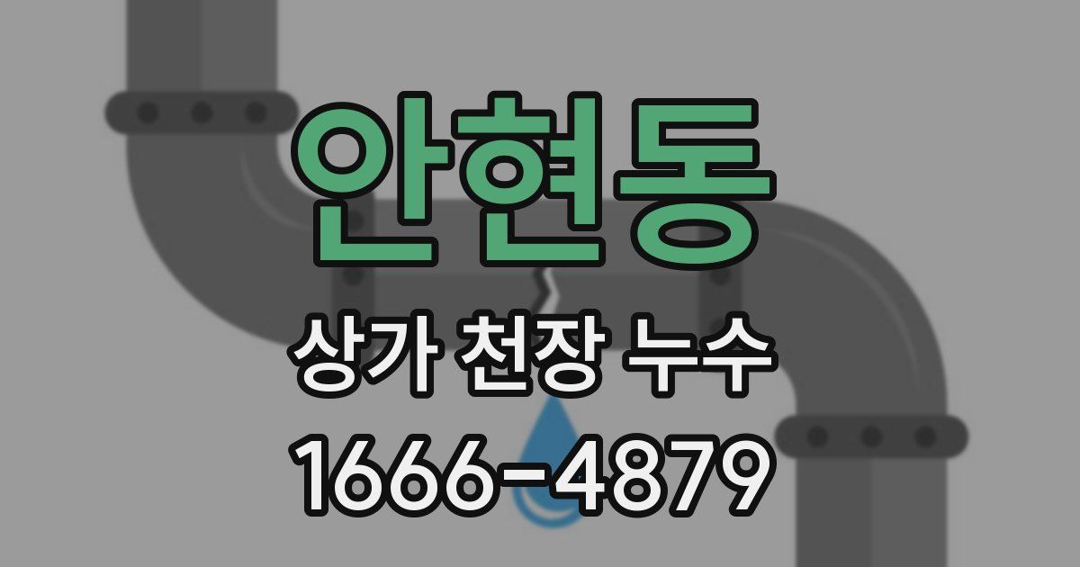 안현동 상가 천장 누수