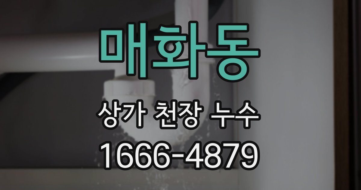 매화동 상가 천장 누수