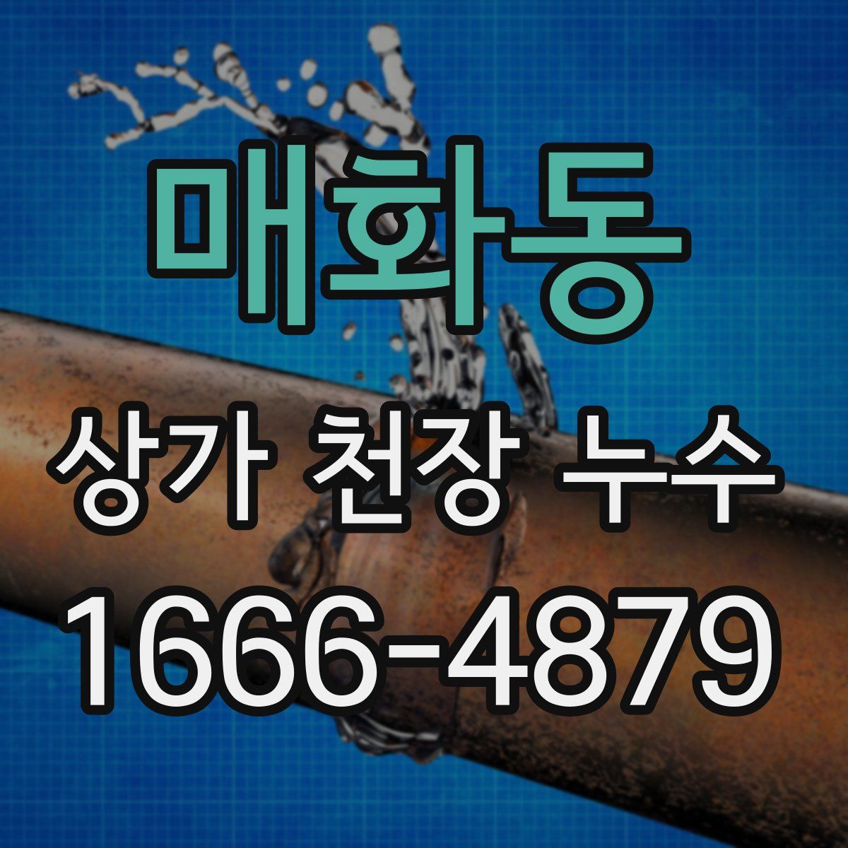 매화동 상가 천장 누수