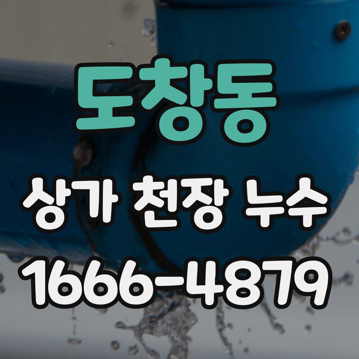 도창동 상가 천장 누수