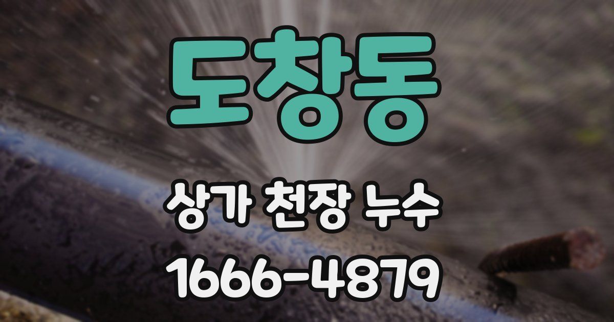 도창동 상가 천장 누수