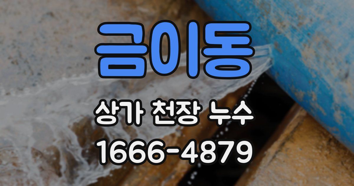 금이동 상가 천장 누수