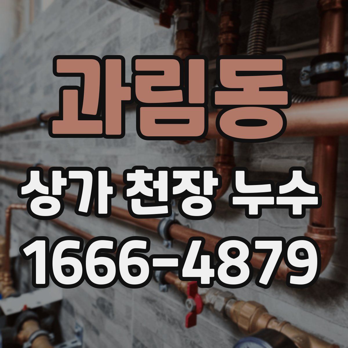 과림동 상가 천장 누수