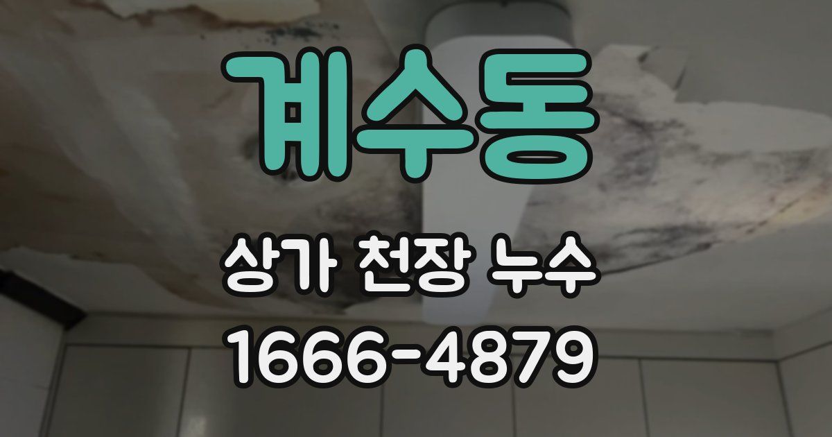 계수동 상가 천장 누수