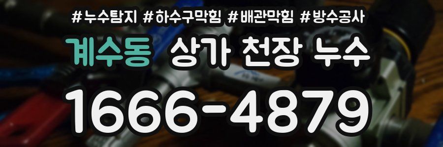 계수동 상가 천장 누수