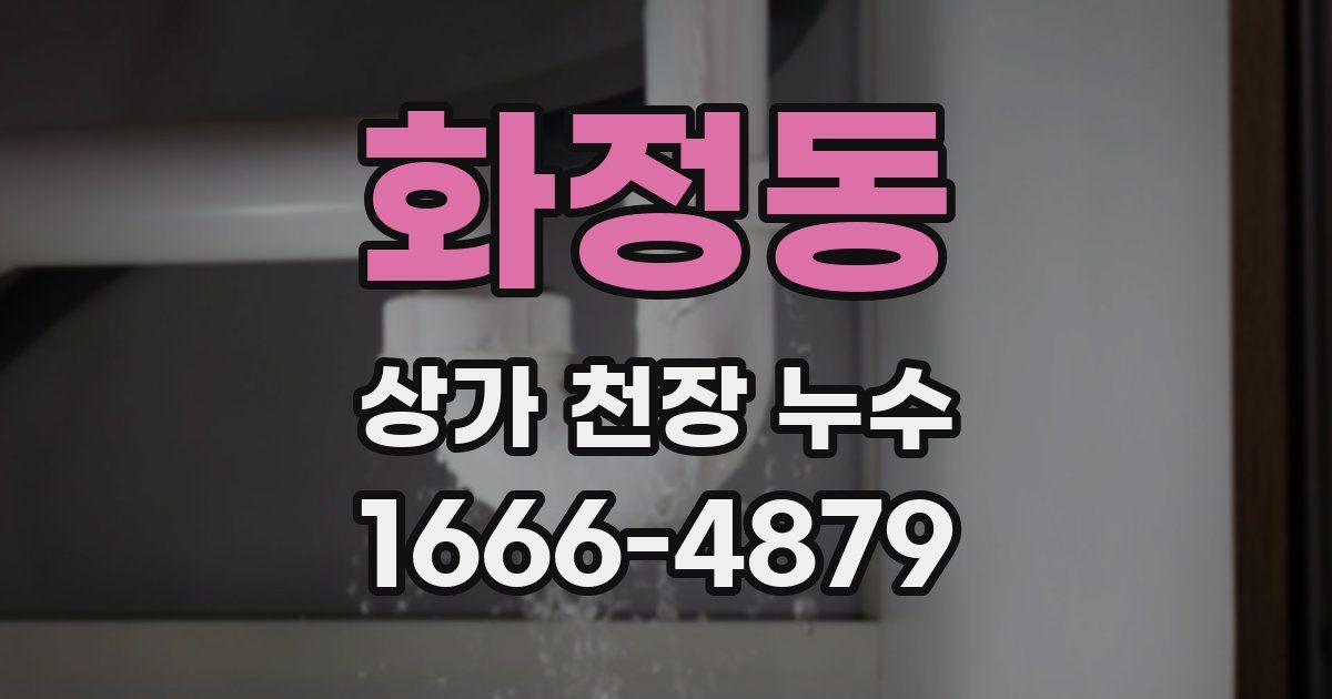 화정동 상가 천장 누수