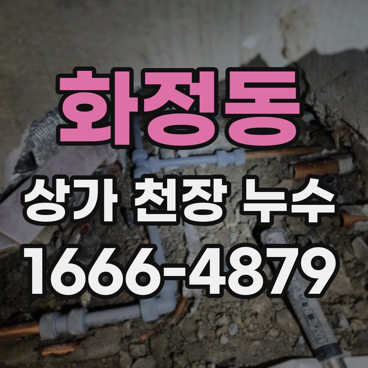 화정동 상가 천장 누수