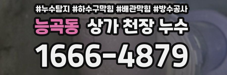 능곡동 상가 천장 누수