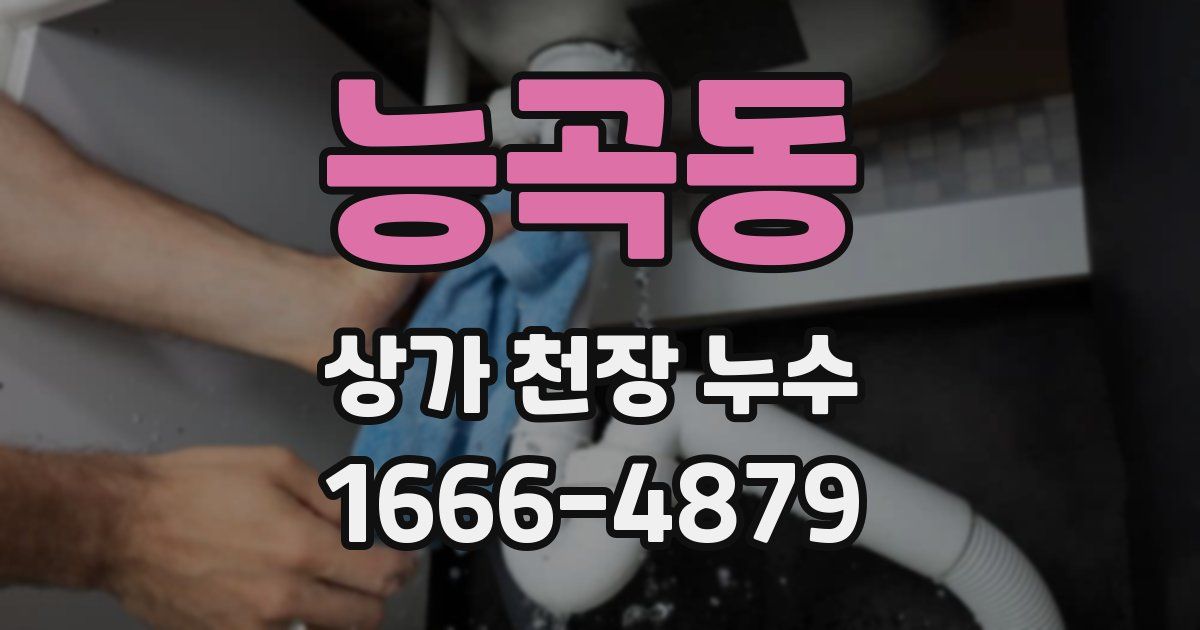 능곡동 상가 천장 누수