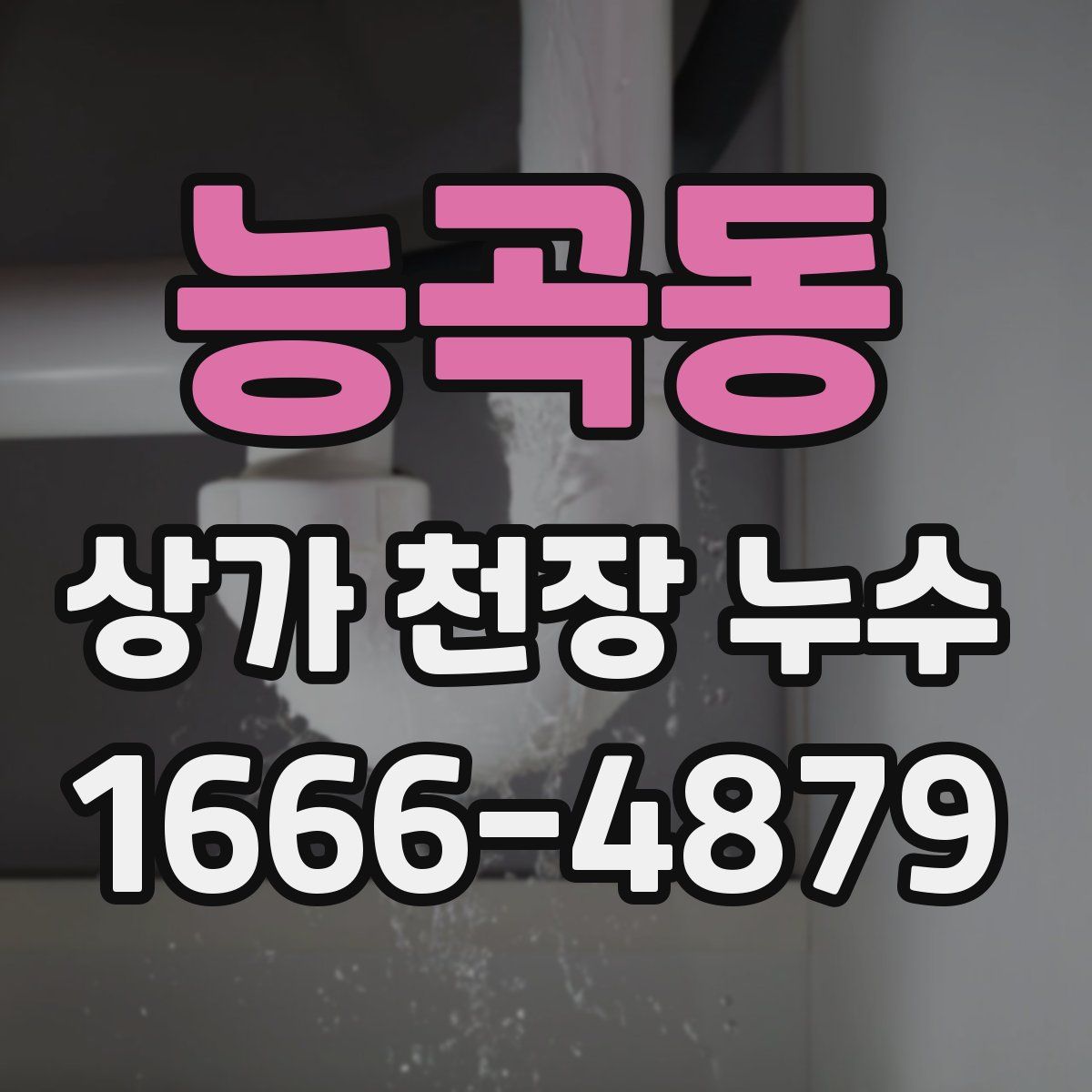 능곡동 상가 천장 누수
