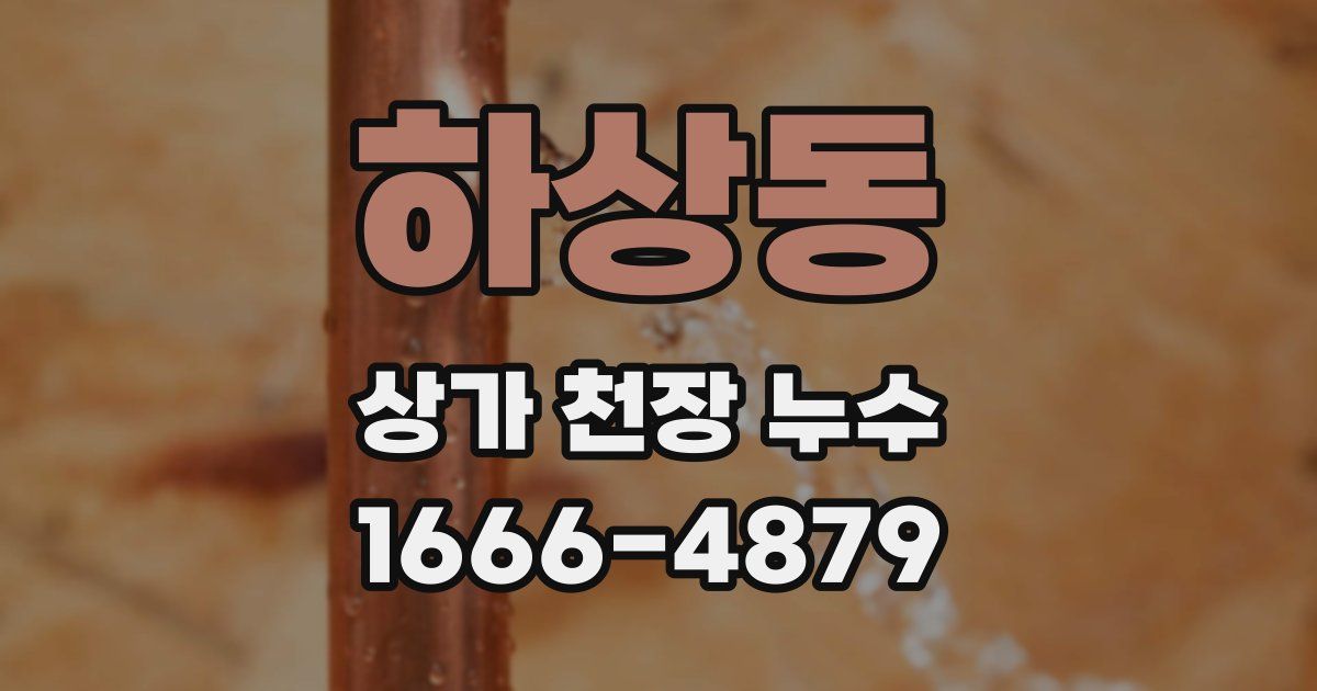 하상동 상가 천장 누수