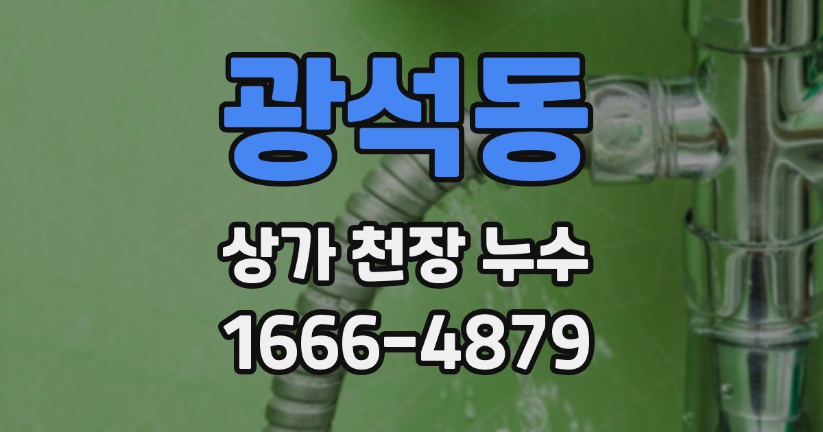 광석동 상가 천장 누수
