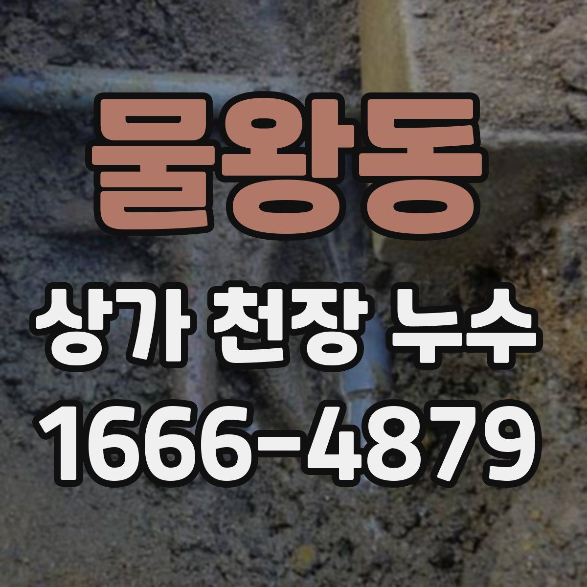 물왕동 상가 천장 누수